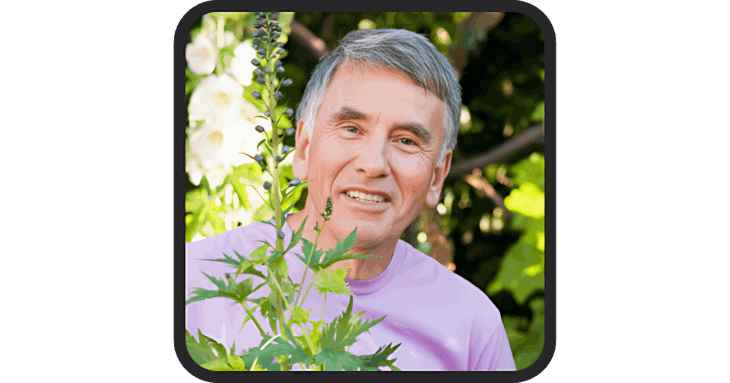 MEN Balance Pro MEN Balance Pro Reviews